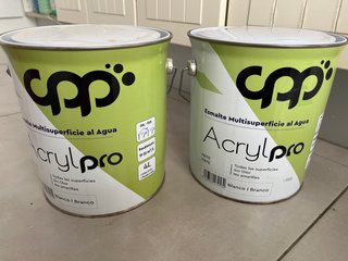Pintura Acrylpro Blanco Mate 4L