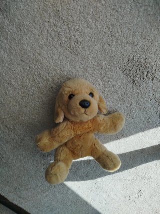 Peluche Perro Dorado Suave
