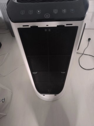 Rowenta Intense Pure Air Connect XL