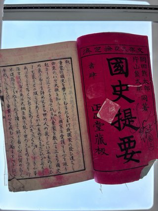 Libro antiguo japonés. Meiji.Distintos grabados