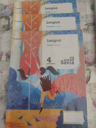 Lengua 4 Primaria
