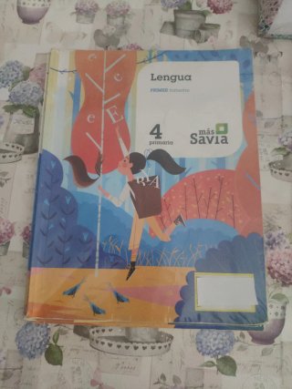 Lengua 4 Primaria