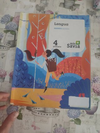 Lengua 4 Primaria