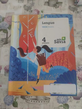 Lengua 4 Primaria