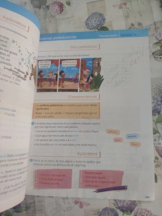 Lengua 4 Primaria