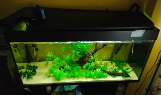 Acuario/Pecera 200L Negro