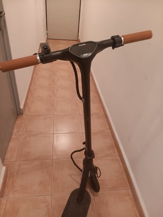 Patinete Eléctrico + Cargador