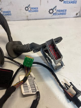 Cableado Puerta Trasera Derecha Range Rover