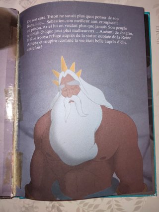 Libros francés Disney