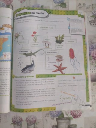 Ciencias de la naturaleza, 4 Primaria Pieza a P...