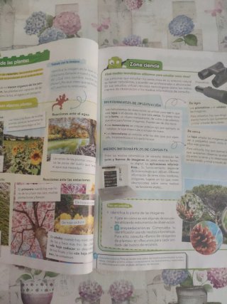 Ciencias de la naturaleza, 4 Primaria Pieza a P...