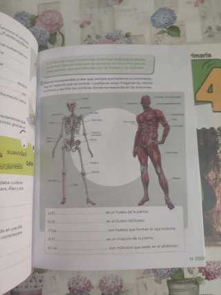 Ciencias de la naturaleza, 4 Primaria Pieza a P...