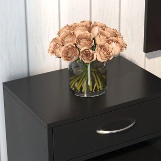Conjunto Recibidor con Espejo y Zapatero