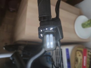 Bicicleta Eléctrica Plegable Fiido D11