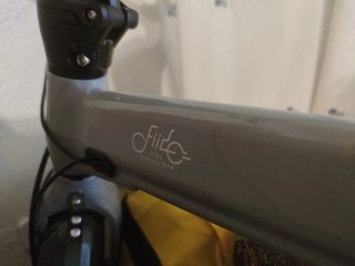 Bicicleta Eléctrica Plegable Fiido D11