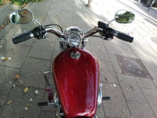 Harley Davidson 1200 Custom sportster