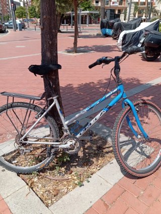 Bicicleta de Montaña Orbea Azul
