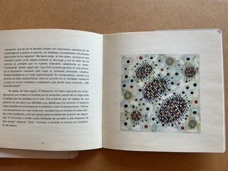 Libro Ed. limitada Vicente Verdú con funda