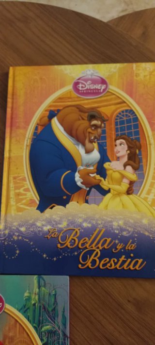 Libros princesas Disney