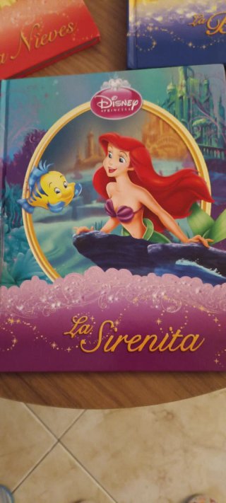 Libros princesas Disney