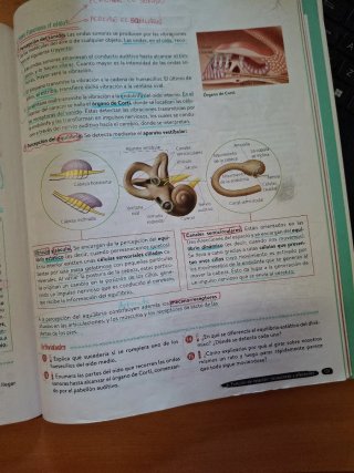 Biología y Geología 3º ESO. Libro del estudiant...