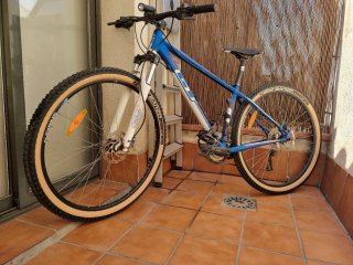 Bicicleta GT Karakoram 29