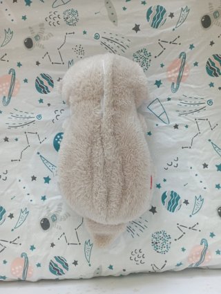 Fisher Price Nutria Hora De Dormir