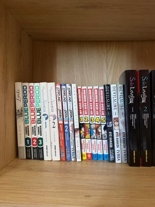 Mangas Variados