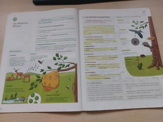 Biología y Geología 1 ESO