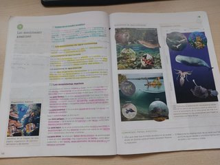 Biología y Geología 1 ESO