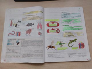 Biología y Geología 1 ESO
