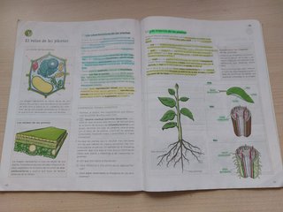Biología y Geología 1 ESO