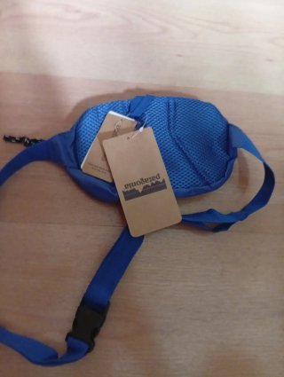 Borsa a spalla Patagonia Blu e Verde 1L