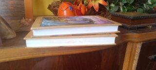 Lote 2 libros Iván de Aldénuri, Bèrehor, Muihl