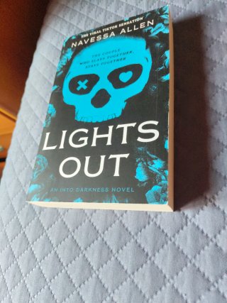 Lights Out An Into Darkness Novel