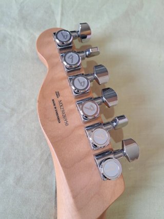 Fender Telecaster Player II Mod MN SSY