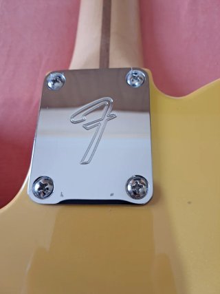 Fender Telecaster Player II Mod MN SSY