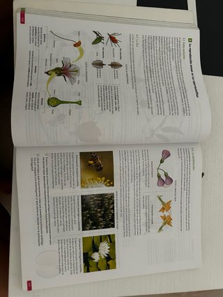 Biología, Geología y Ciencias Ambientales. 1 Ba...