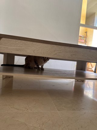 Mesa de centro de madera