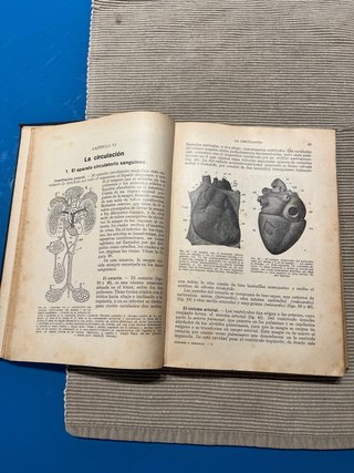Libro “Anatomía y fisiología Humanas” S. Alvarado