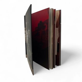 LIBRO LED ZEPPELIN ED CUPULA