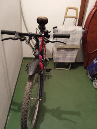 Bicicleta de Montaña