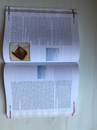 Lengua castellana y Literatura 2º Bachillerato