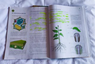 Libro texto 1ESO biología y geología anaya