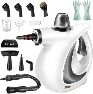 Vaporeta con todos los accesorios