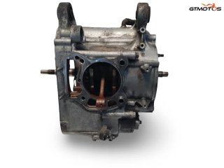 Bloque Motor (1006331) Suzuki Burgman 200