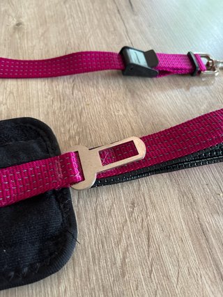 Correa para coche GPS para perros