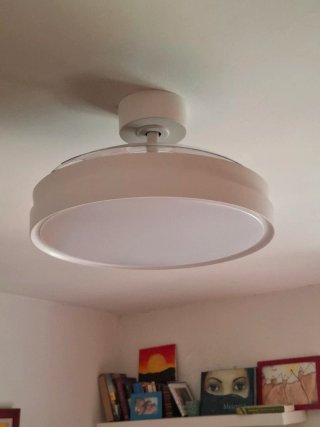 Manitas Angel