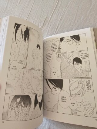 Manga yaoi home (español)