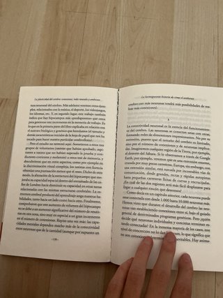 Cerebroflexia : el arte de construir el cerebro